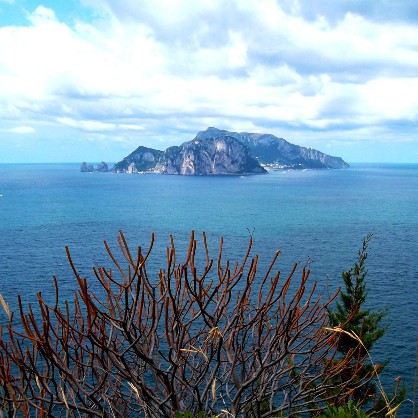 Tour privato dell’isola di Capri